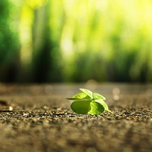 火影忍者雷影同人动漫在哪
